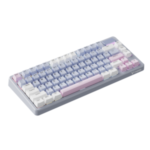 Rapoo V700DIY-75 Wireless Mechanical Gaming Keyboard Creamy Sound