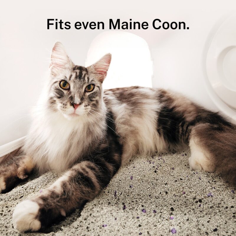 Self-cleaning Litter Box CS106